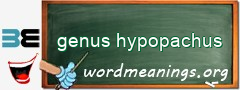WordMeaning blackboard for genus hypopachus